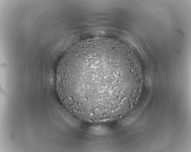 X0000091100561200708131108