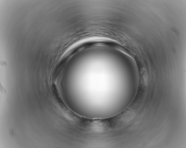 X0000091100562200708131108