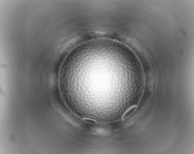 X0000091100563200708131108