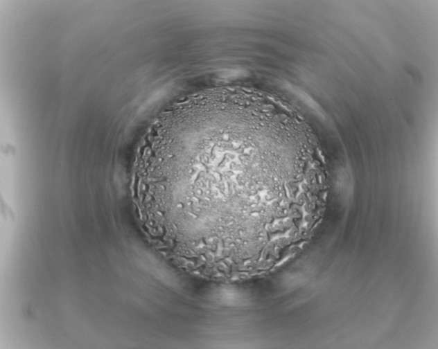 X0000091100565200708131108