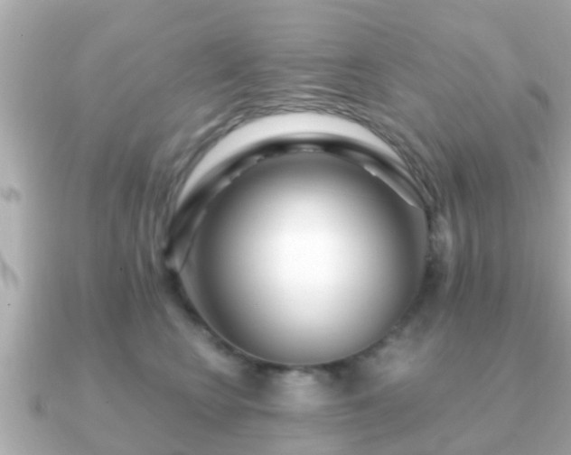 X0000091100566200708131108