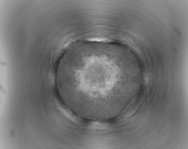 X0000091100568200708131108