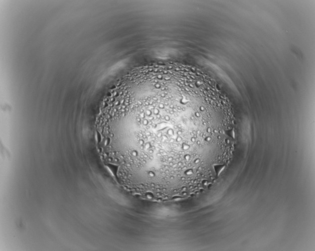 X0000091100569200708131108