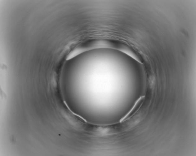 X0000091100570200708131108