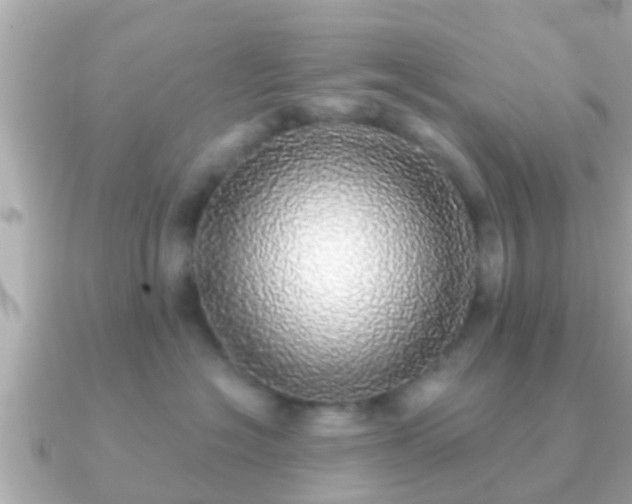 X0000091100574200708131108