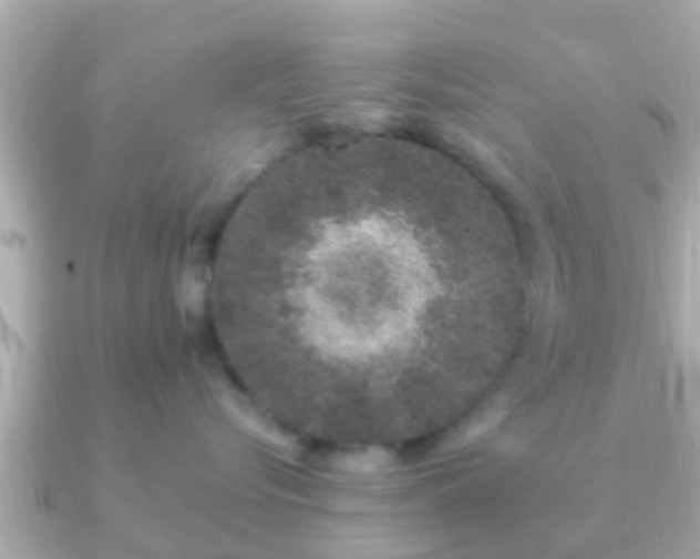 X0000091100576200708131108