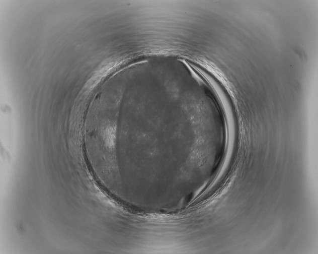 X0000091100577200708131108