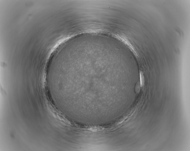 X0000091100579200708131108