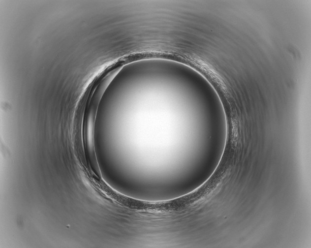 X0000091100580200708131108