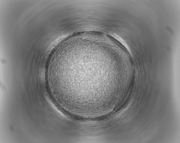 X0000091100581200708131108