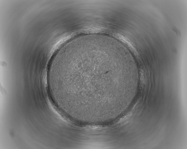 X0000091100582200708131108