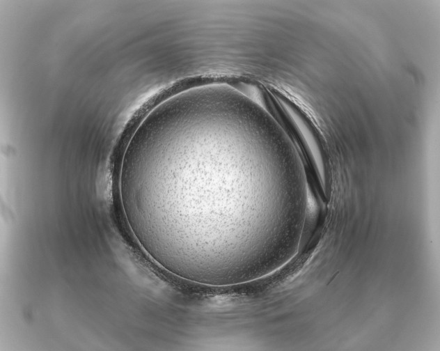 X0000091100584200708131108