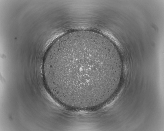 X0000091100585200708131108