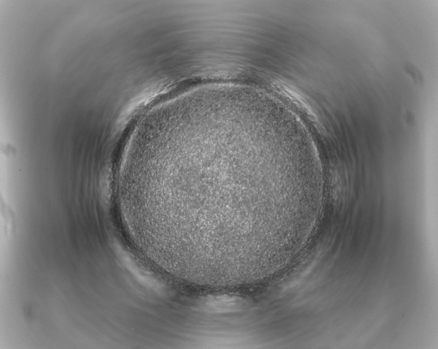 X0000091100586200708131108