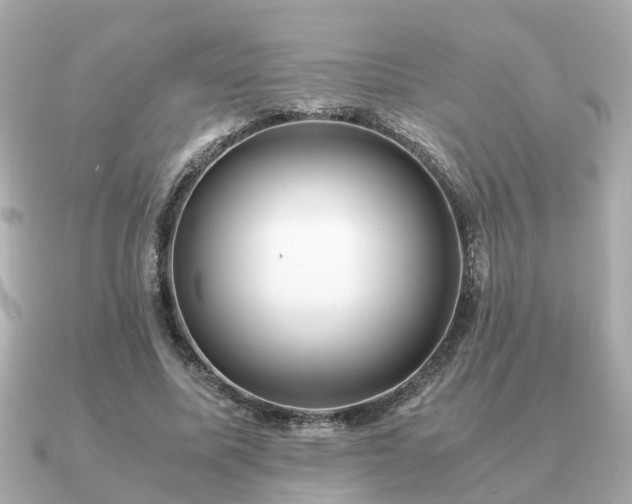 X0000091100587200708131108