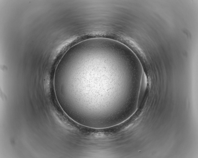 X0000091100588200708131108