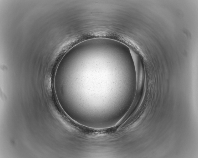 X0000091100589200708131108