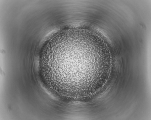 X0000091100590200708131108