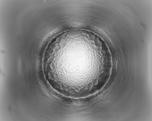 X0000091100591200708131108