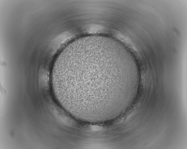 X0000091100592200708131108