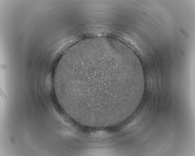 X0000091100594200708131108