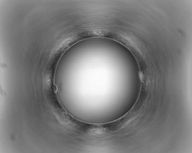 X0000091100595200708131108