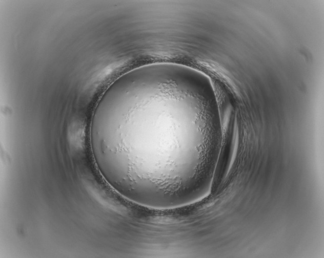 X0000091100596200708131108