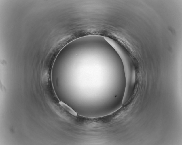 X0000091100597200708131108