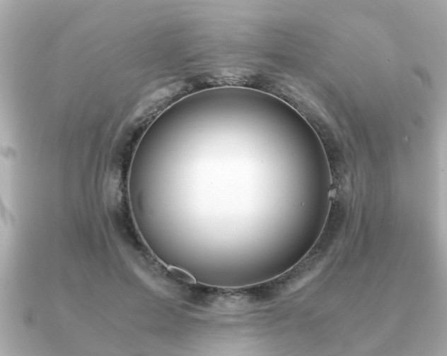 X0000091100599200708131107