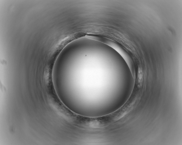 X0000091100600200708131107