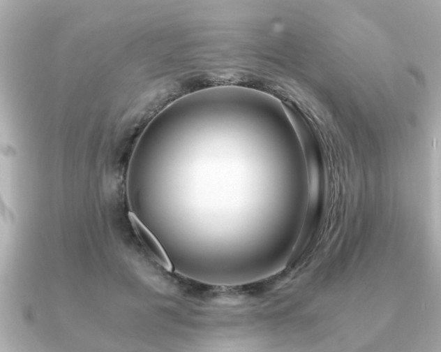 X0000091100601200708131107