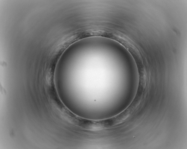 X0000091100604200708131107