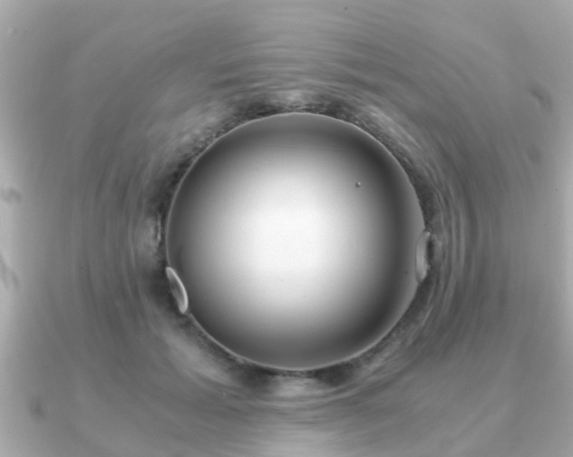 X0000091100605200708131107