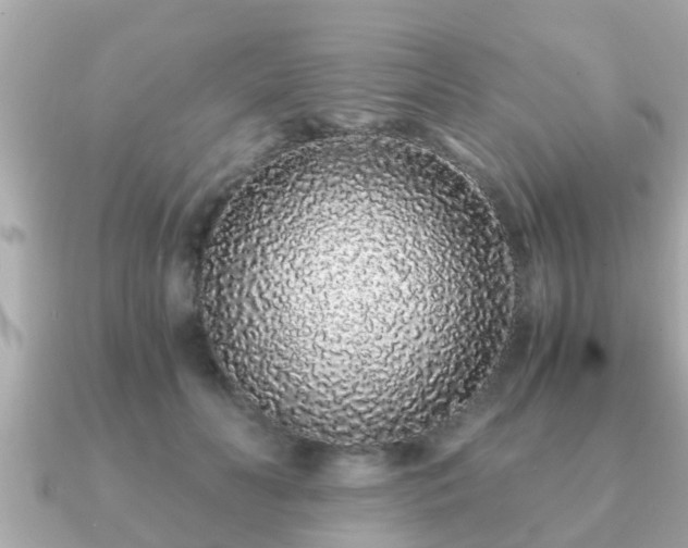 X0000091100606200708131107