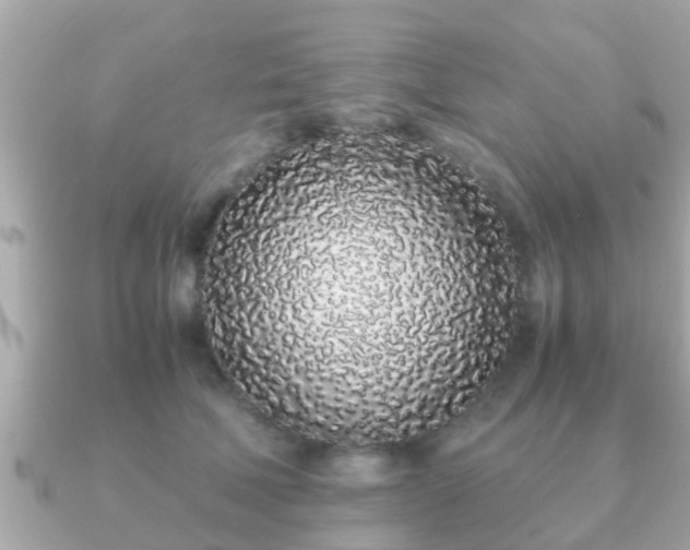 X0000091100610200708131107