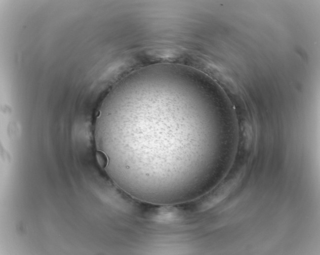 X0000091100612200708131107