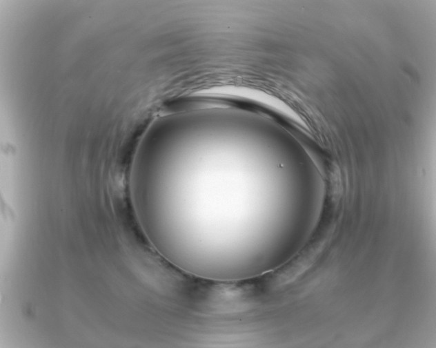 X0000091100613200708131107