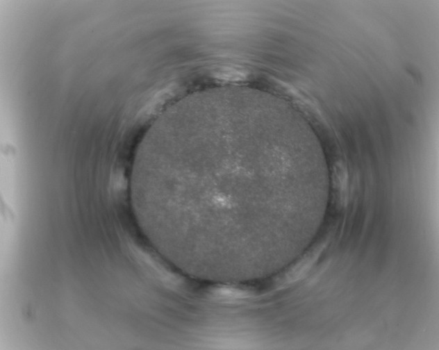 X0000091100614200708131107