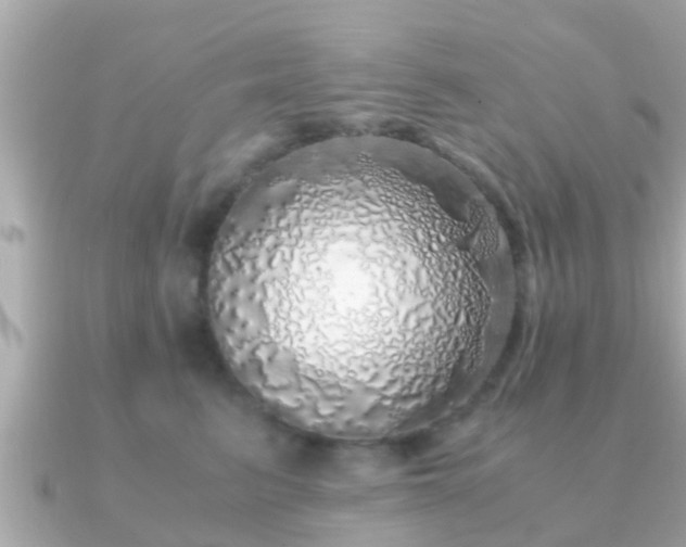 X0000091100615200708131107