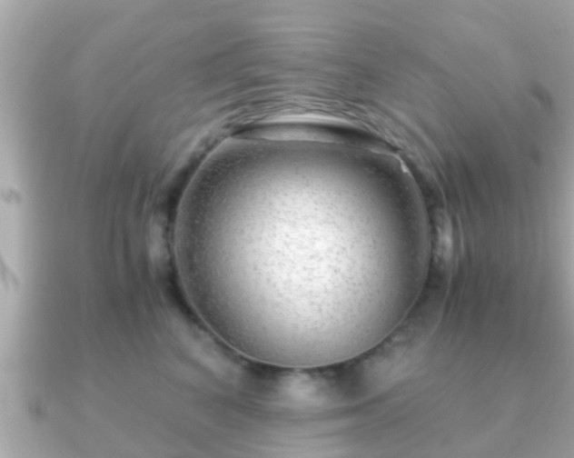 X0000091100616200708131107