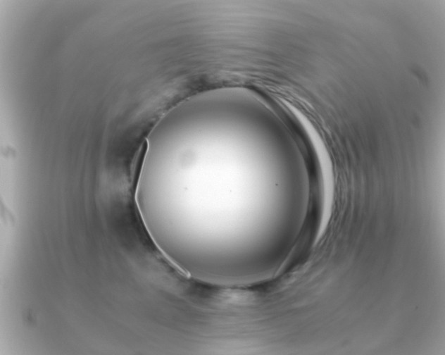 X0000091100617200708131107