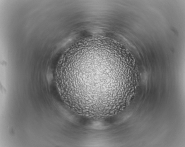 X0000091100618200708131107