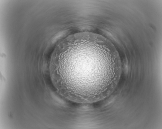 X0000091100619200708131107