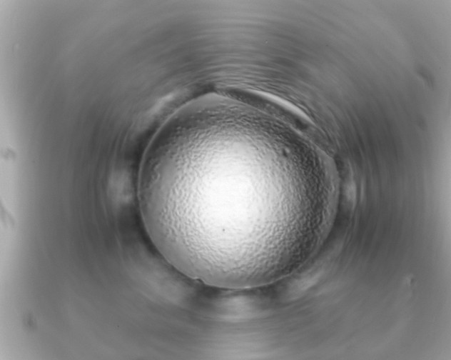 X0000091100620200708131107