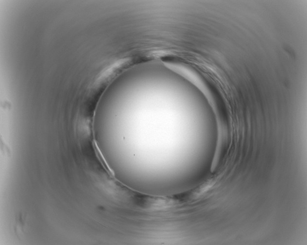 X0000091100621200708131107