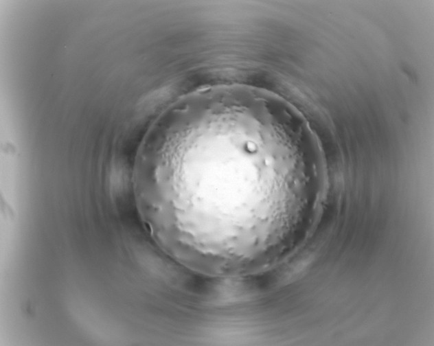 X0000091100623200708131107