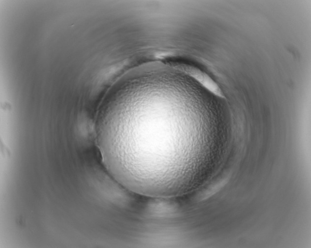 X0000091100624200708131107