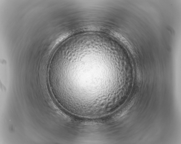 X0000091100625200708131107