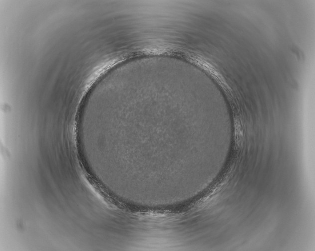 X0000091100626200708131107