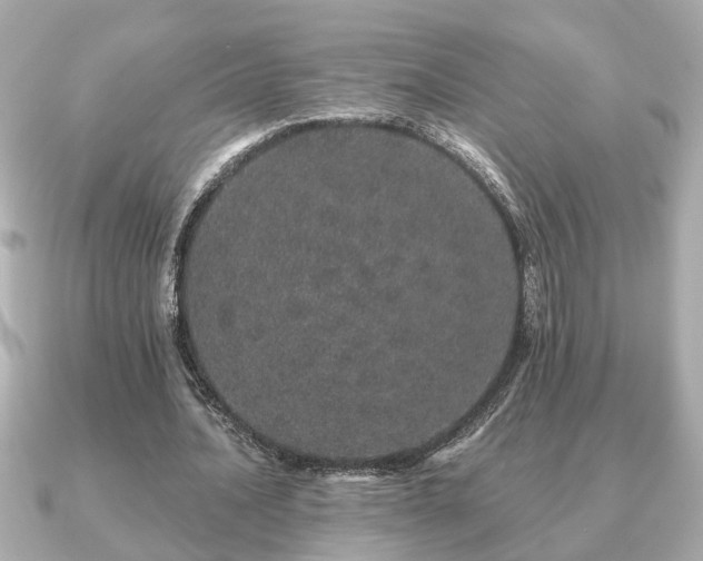 X0000091100628200708131107